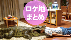 映画家に帰ると妻が必ず死んだふりをしています。ロケ地・撮影場所（榮倉奈々目撃情報アリ）